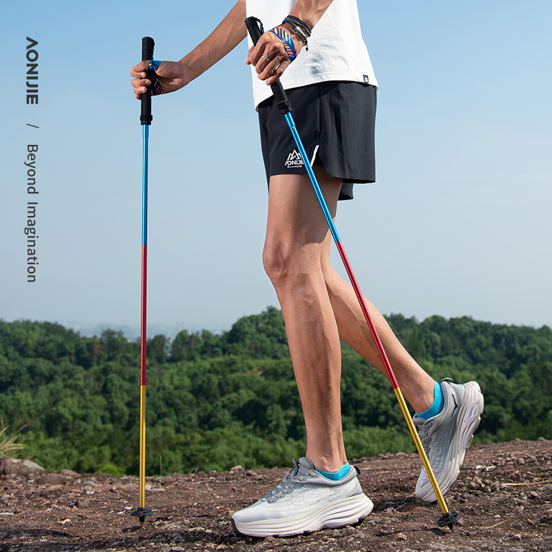 2 pezzi AONIJIE Nuovi Bastoni  - Trekking Pole Carbon recensione e prezzo