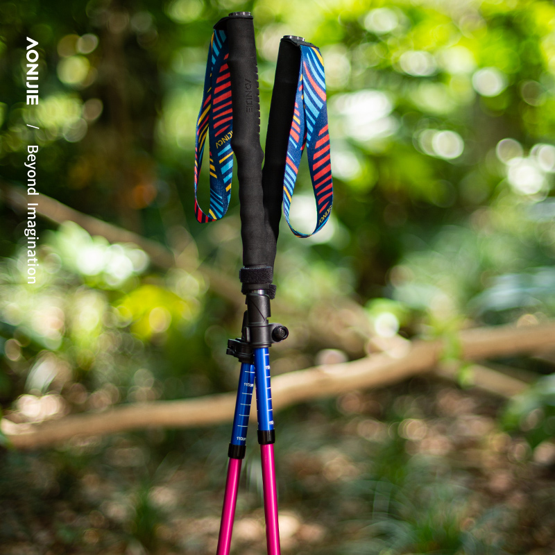 AONIJIE E4208 Bastone da passe - Trekking Pole Carbon recensione e prezzo